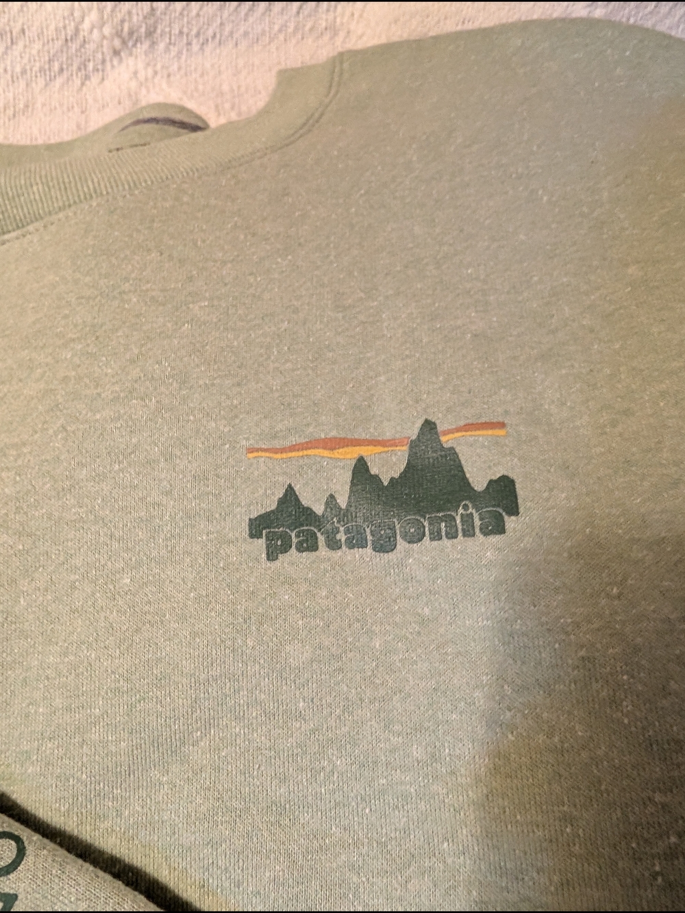 Patagonia Logo Crewneck Sweatshirt in Sage Green - Picture 2 of 3